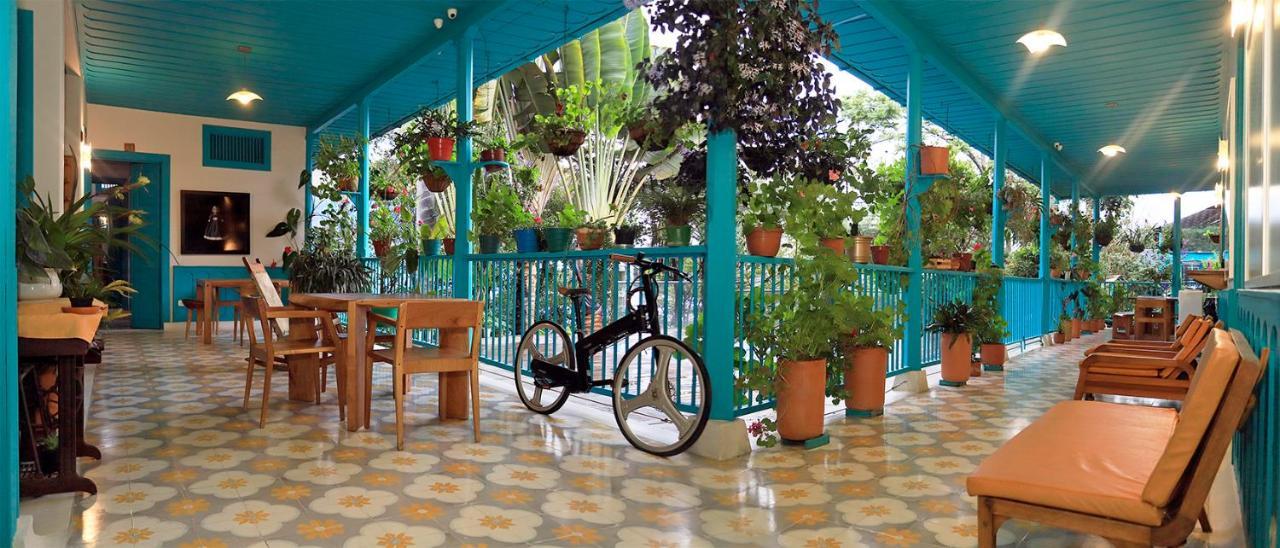 Casa De Las Dos Palmas Hotel Salento Ngoại thất bức ảnh